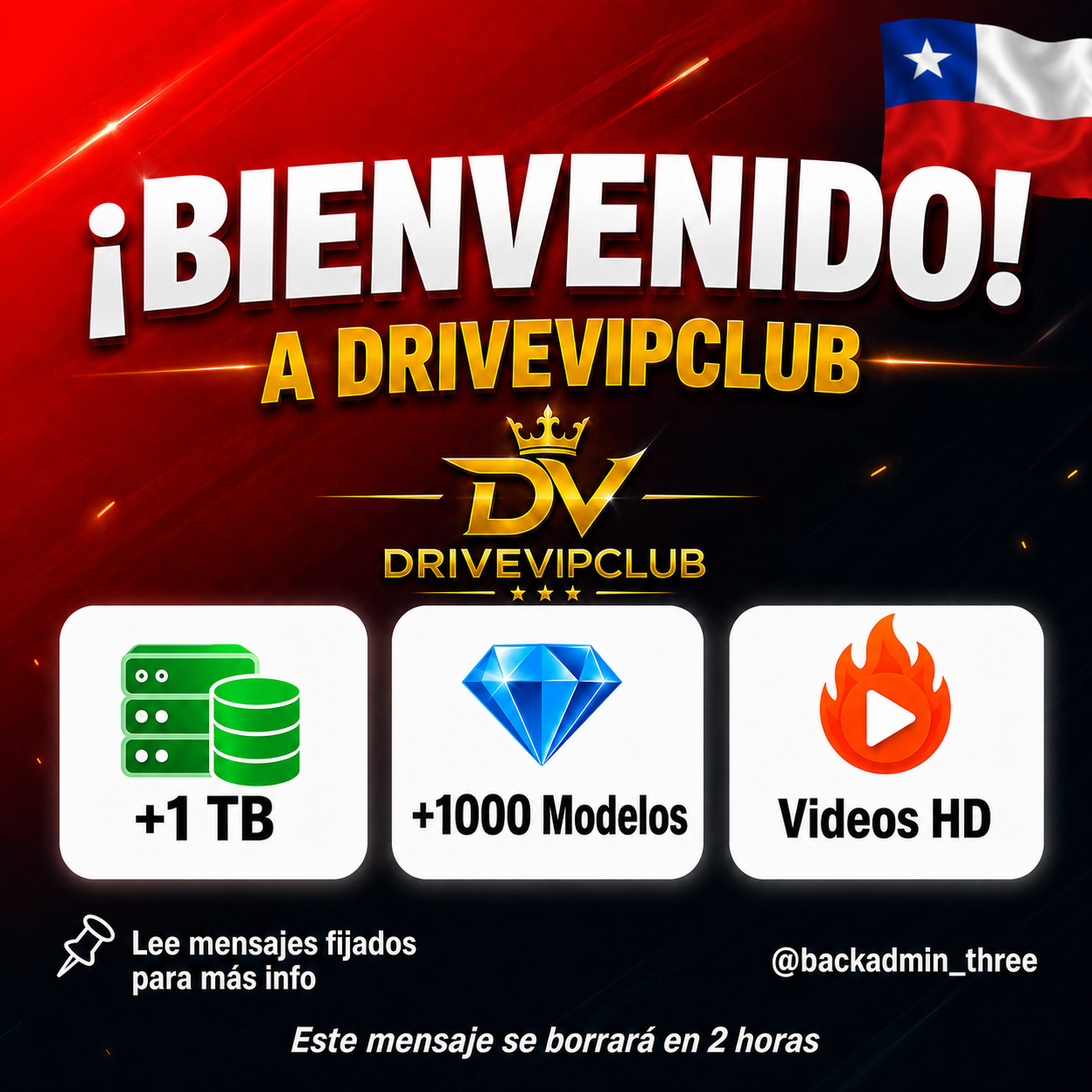 DriveVIPclub 🔞 | Arsmate y OnlyFans Chile +1 TB